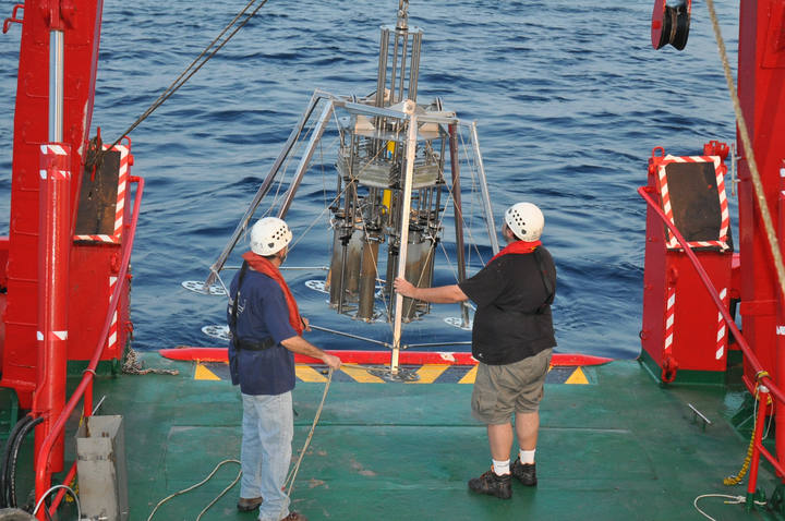 El Ecosistema De Los Fondos Marinos Peligra Por La Pesca De Arrastre