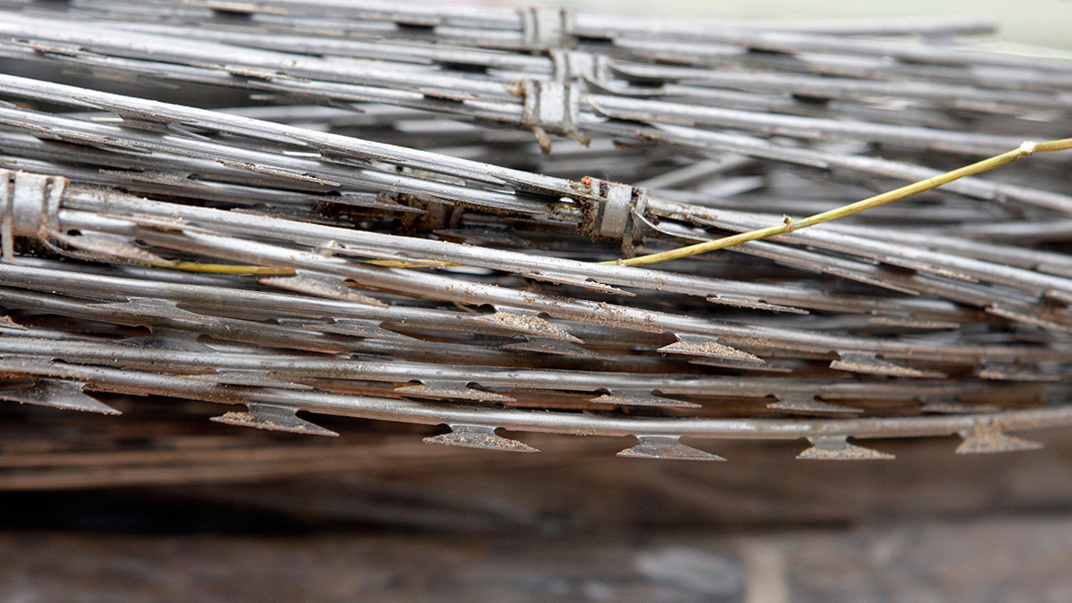 Ceuta y Melilla Marlaska y las concertinas de las vallas RTVE