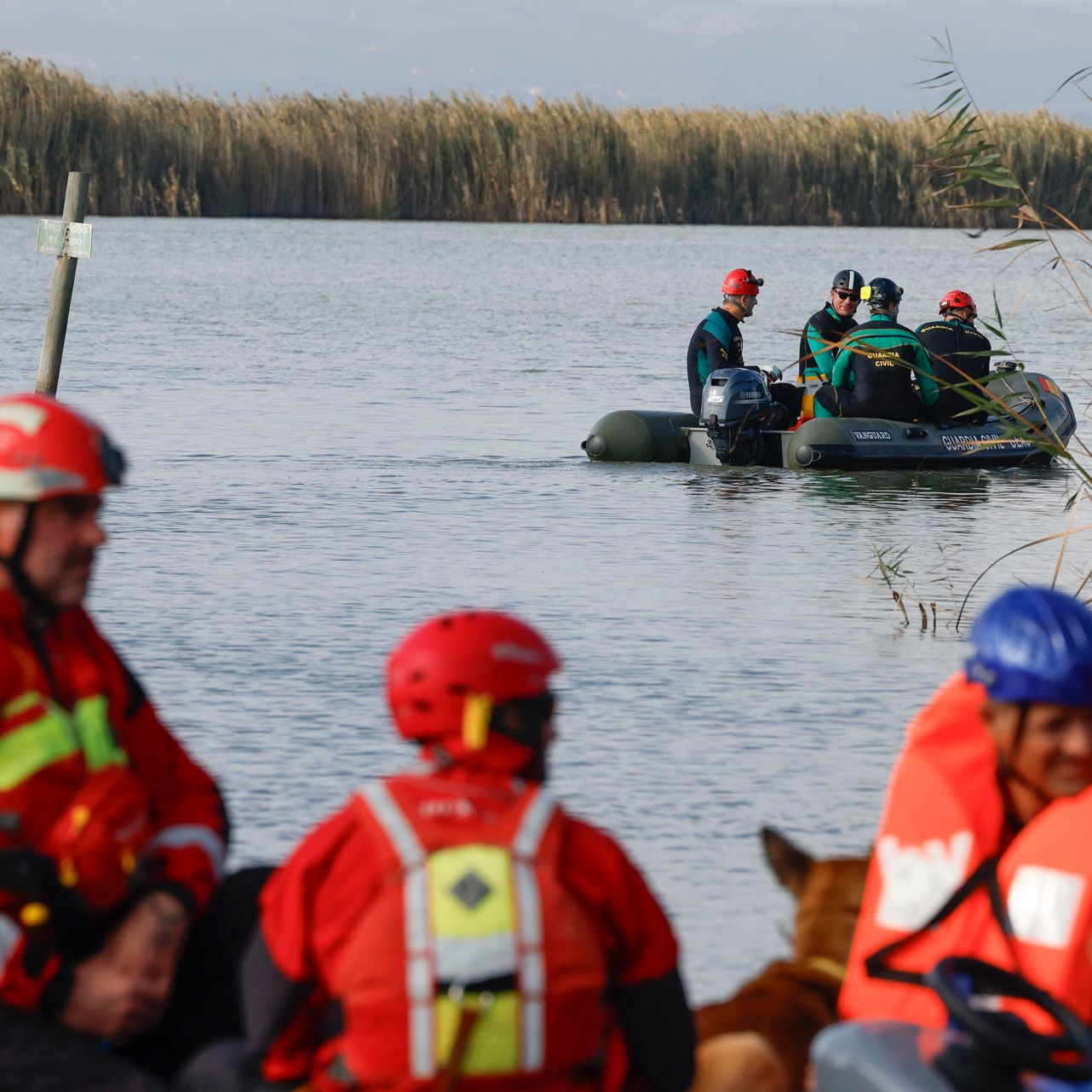 Más cerca – La Guardia Civil centra la búsqueda en la Albufera