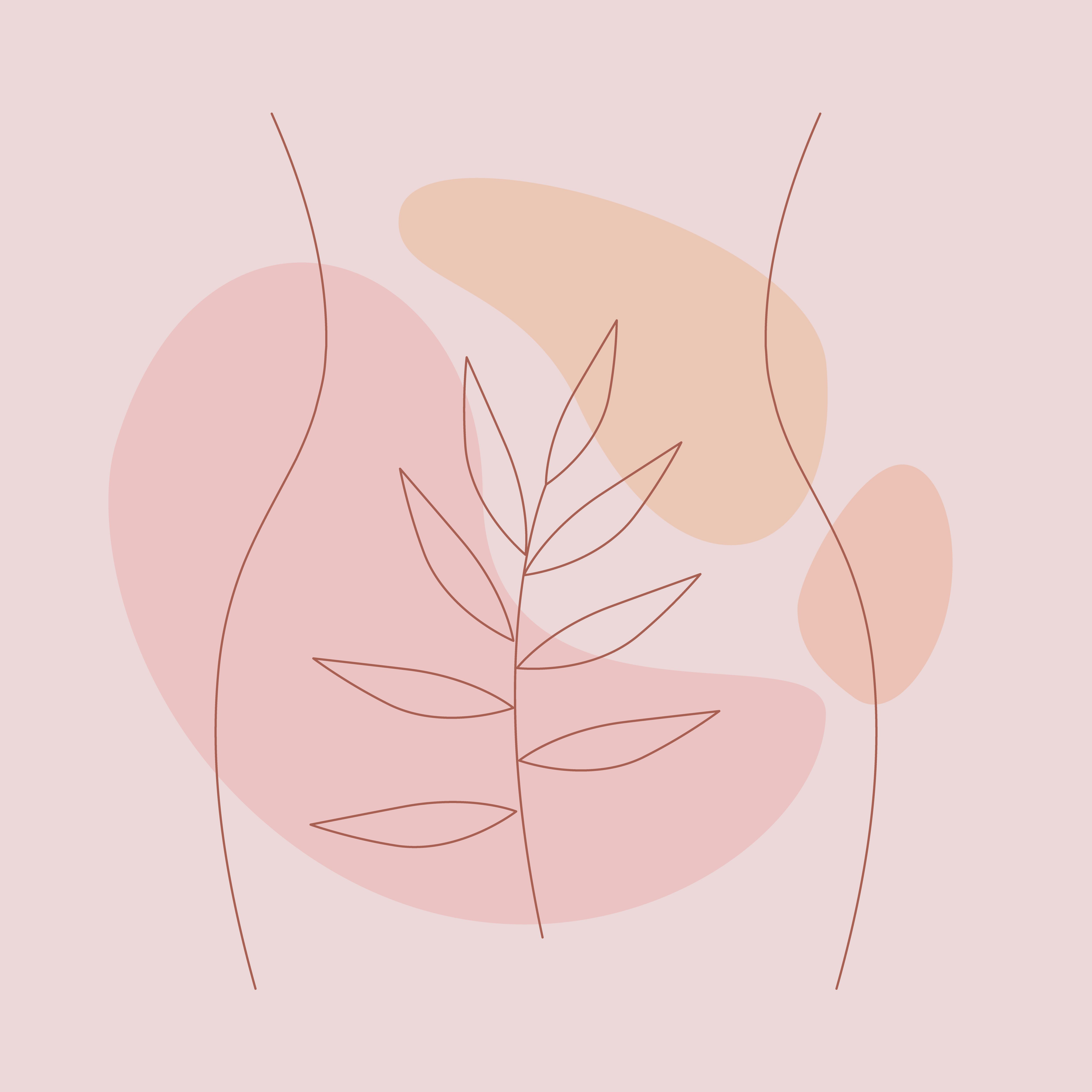 Futuro abierto - Menopausia - 21/09/25