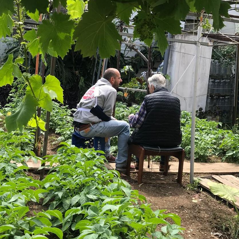 Vida Verda - Mercats de pagès a Barcelona, els 102 anys de Joan Carulla i tovalloletes del desastre