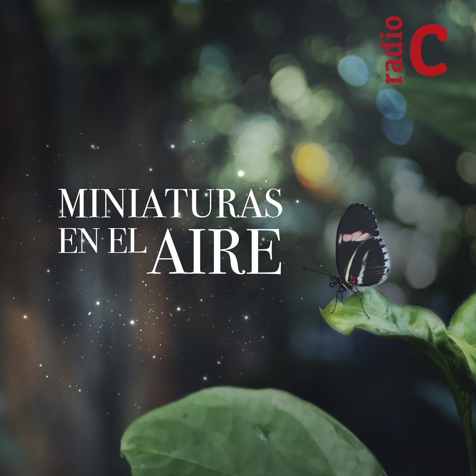 Miniaturas en el aire