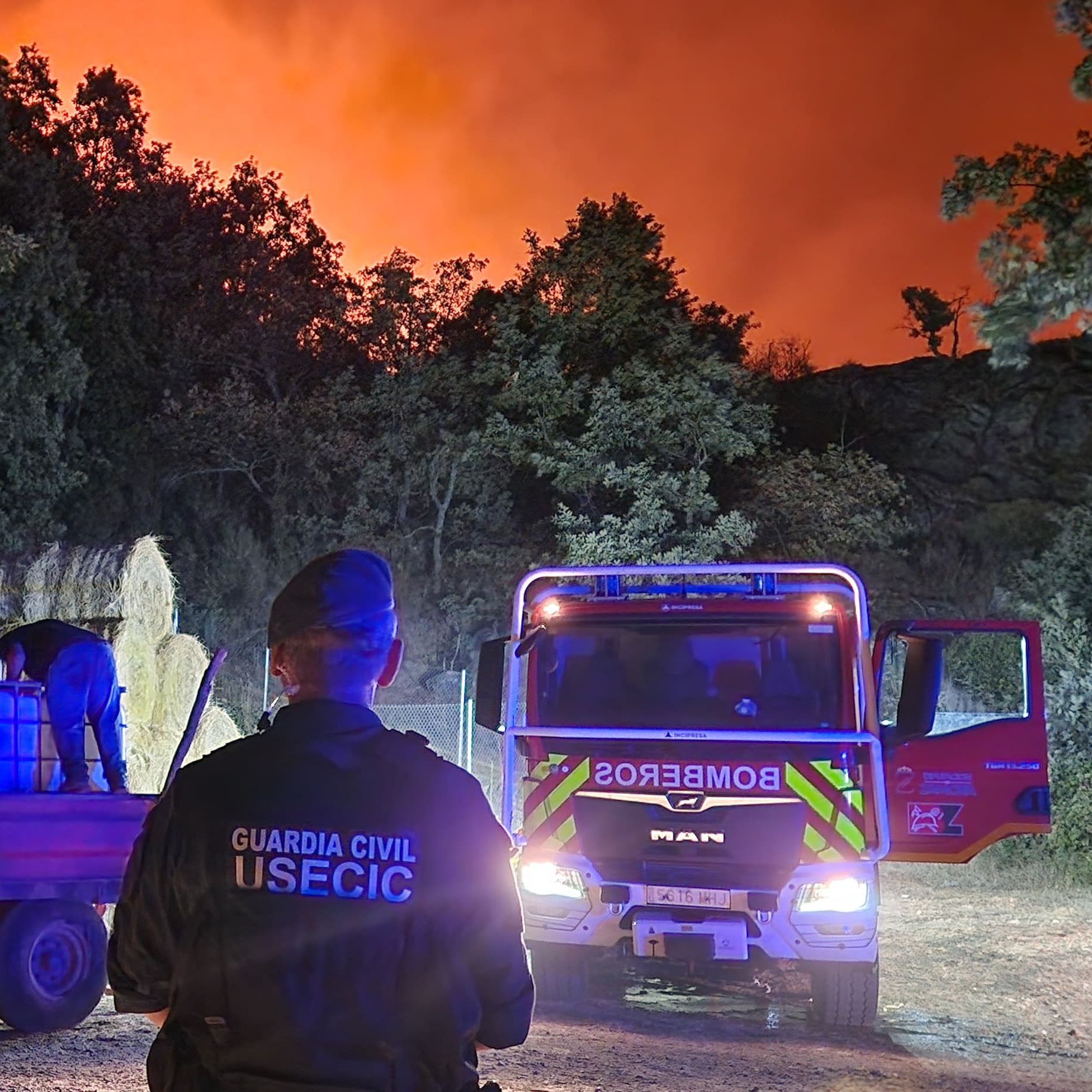 Mundo rural - Declaración de zona de emergencia de los territorios afectados por los incendios - 22/08/25