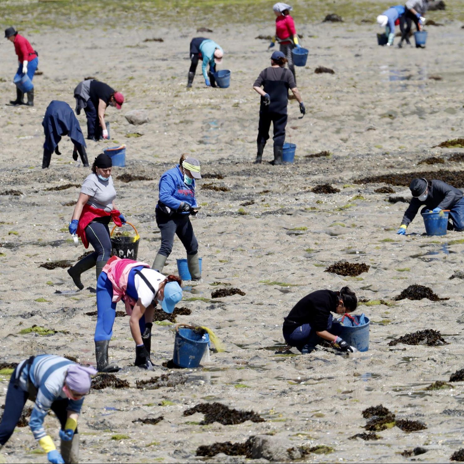Mundo rural - Difusión del trabajo de las mariscadoras a pie de Galicia y en las Rías Bajas - 18/08/25