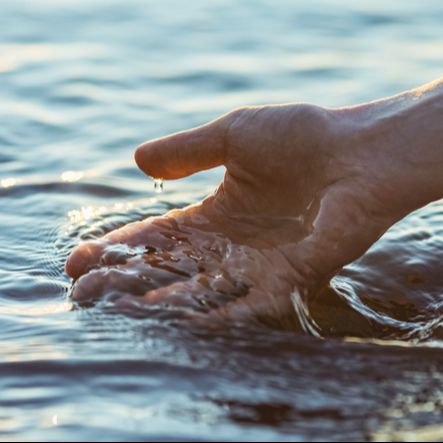 Mundo rural - Gestión del agua en el contexto de cambio climático - 08/11/24