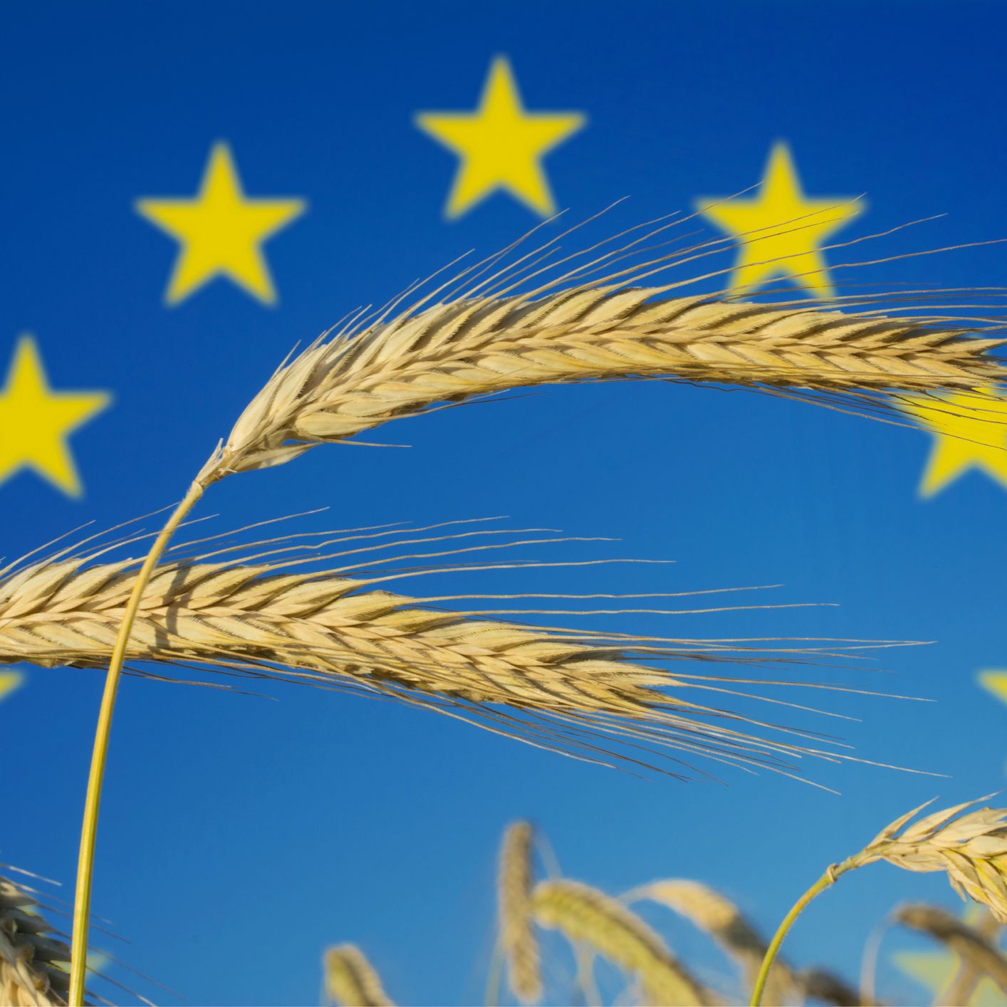 Mundo rural - PAC: Propuestas post 2027 y MFP 2028-2034 - 28/07/25