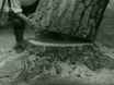 Imagen noticiero del 25-06-1962