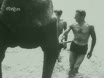 Imagen noticiero del 22-01-1945