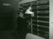 Imagen noticiero del 23-03-1964