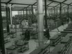 Imagen noticiero del 31-05-1965