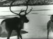 Imagen noticiero del 26-03-1945