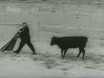Imagen noticiero del 18-10-1965