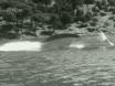 Imagen noticiero del 13-06-1966