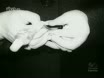 Imagen noticiero del 12-04-1971