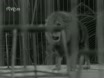 Imagen noticiero del 08-05-1972