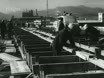 Imagen noticiero del 22-01-1973