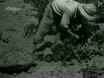 Imagen noticiero del 16-09-1946