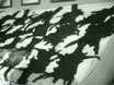 Imagen noticiero del 28-10-1946