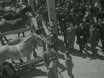Imagen noticiero del 31-05-1948