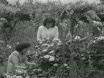 Imagen noticiero del 07-06-1948