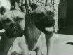 Imagen noticiero del 19-07-1943