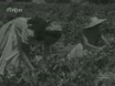 Imagen noticiero del 05-09-1949
