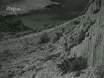 Imagen noticiero del 13-02-1950