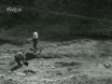 Imagen noticiero del 29-01-1951