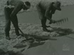 Imagen noticiero del 12-11-1951