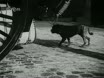 Imagen noticiero del 25-01-1954
