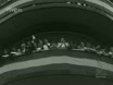 Imagen noticiero del 15-05-1961
