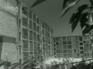 Imagen noticiero del 19-06-1961