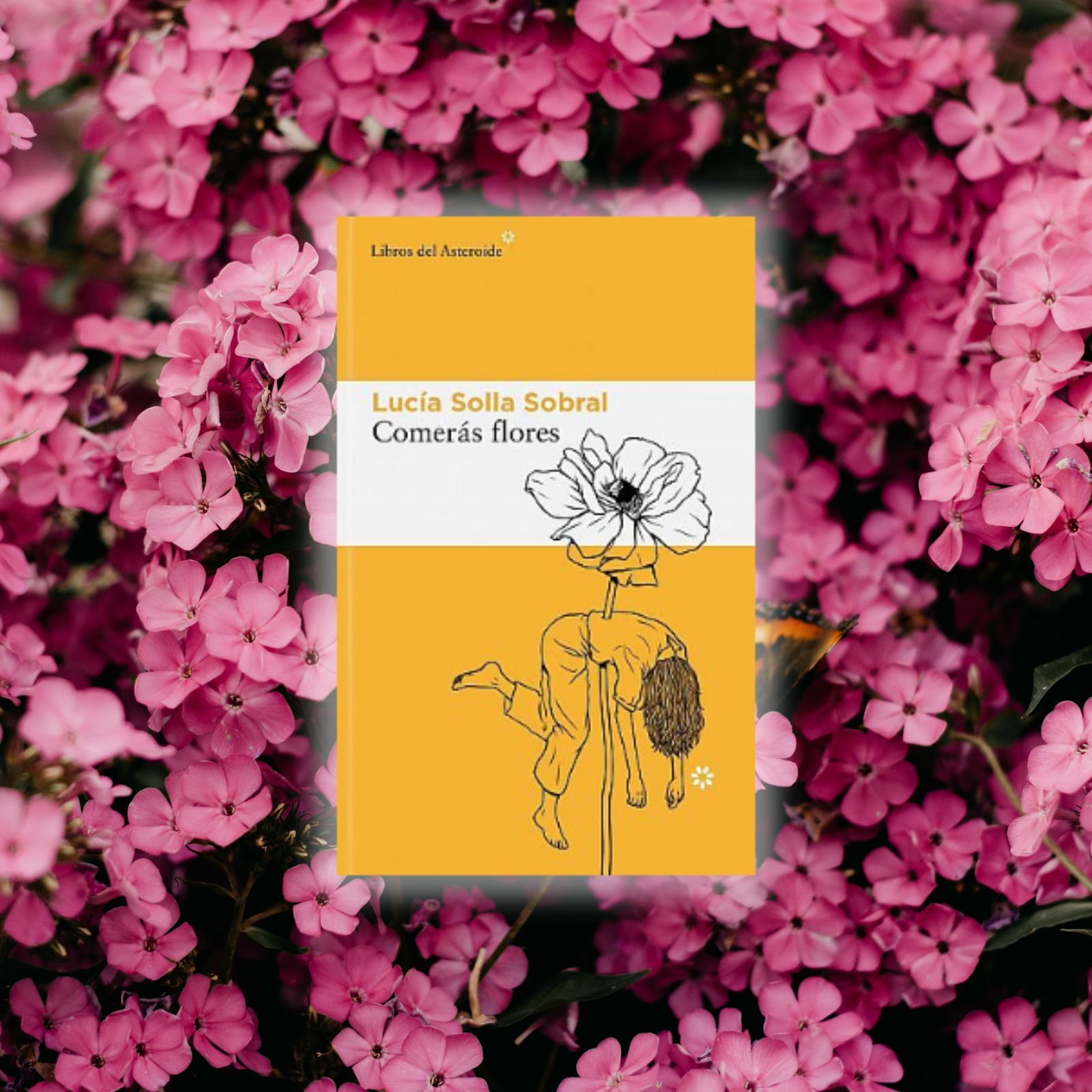 El ojo crítico - 'Comerás flores': juventud y desencanto de Lucía Solla Sobral