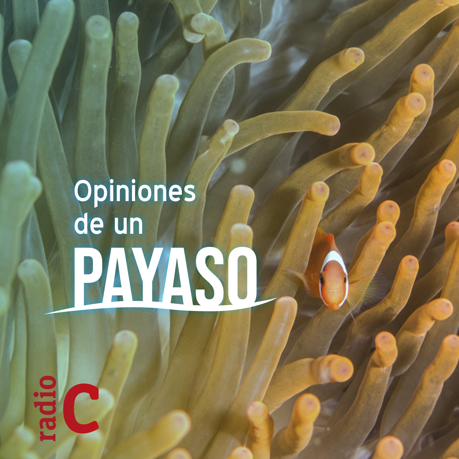 Opiniones de un payaso