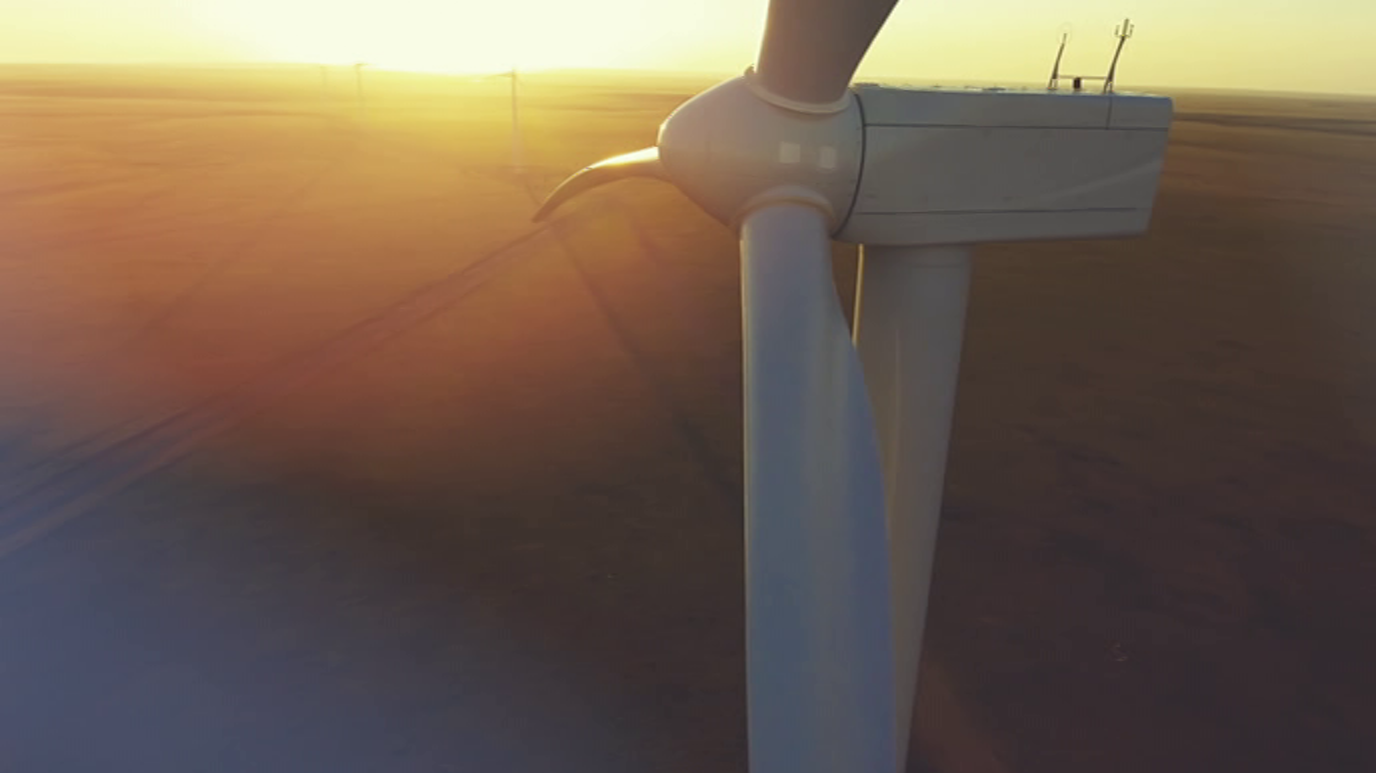 Hacia un planeta verde. La transición energética