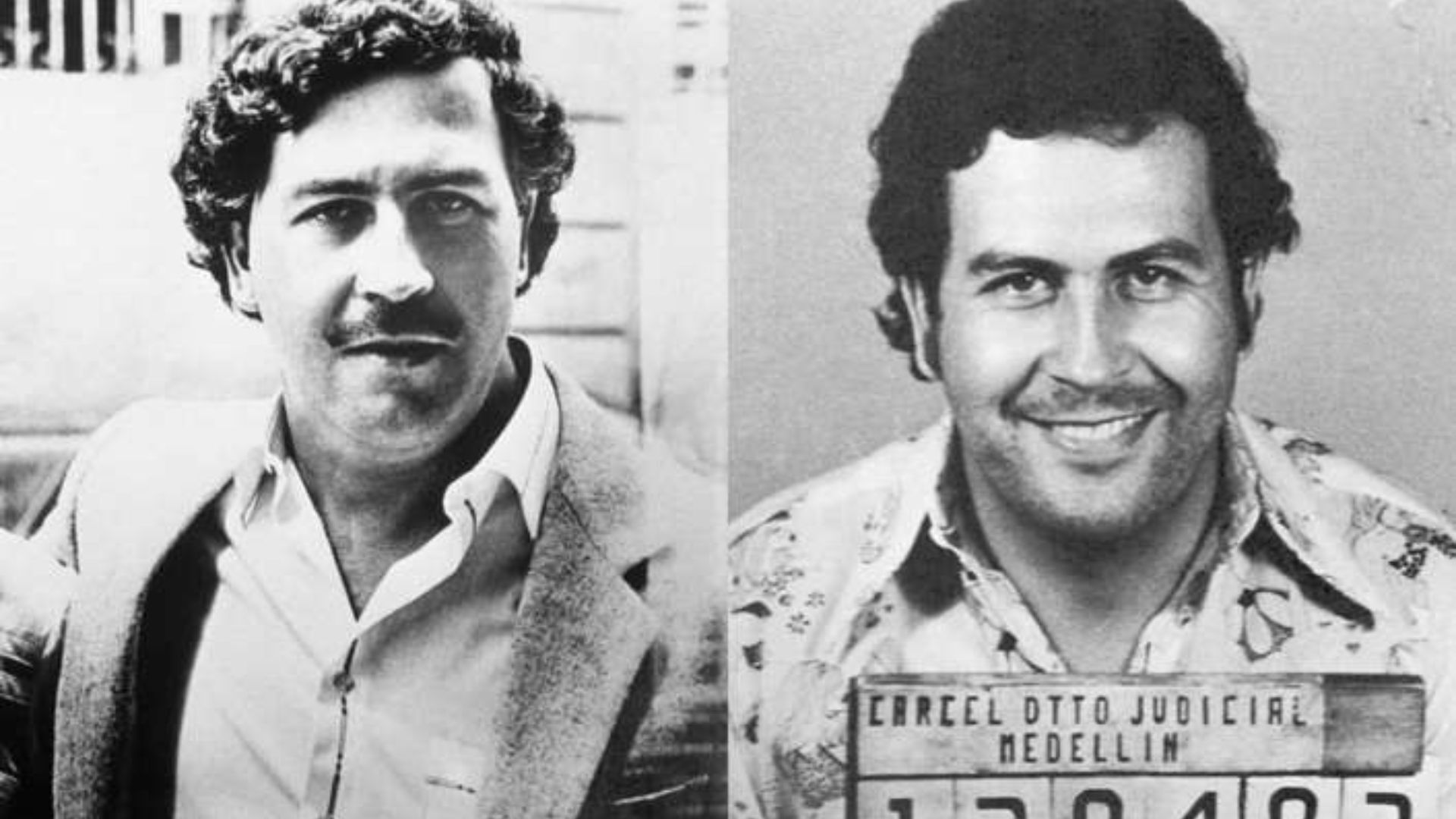 verbo profesional Lucro Qué le pasó a Pablo Escobar? La muerte del narco más famoso