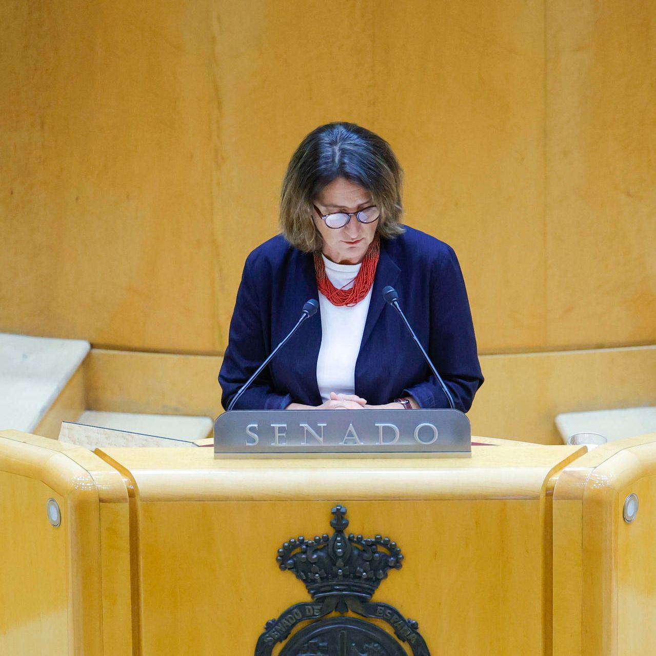 Parlamento - Comparecencia de Teresa Ribera - 23/11/24