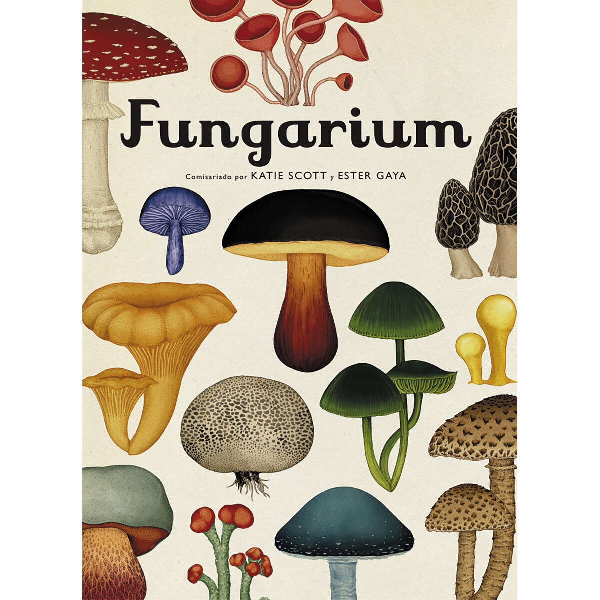 Fungarium', el libro ilustrado de hongos l RTVE