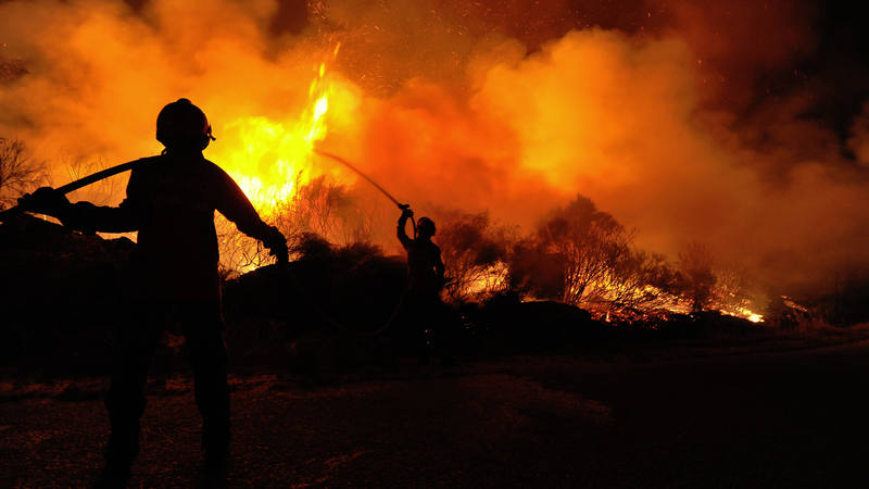 La destrucción de la naturaleza amenaza el bienestar 