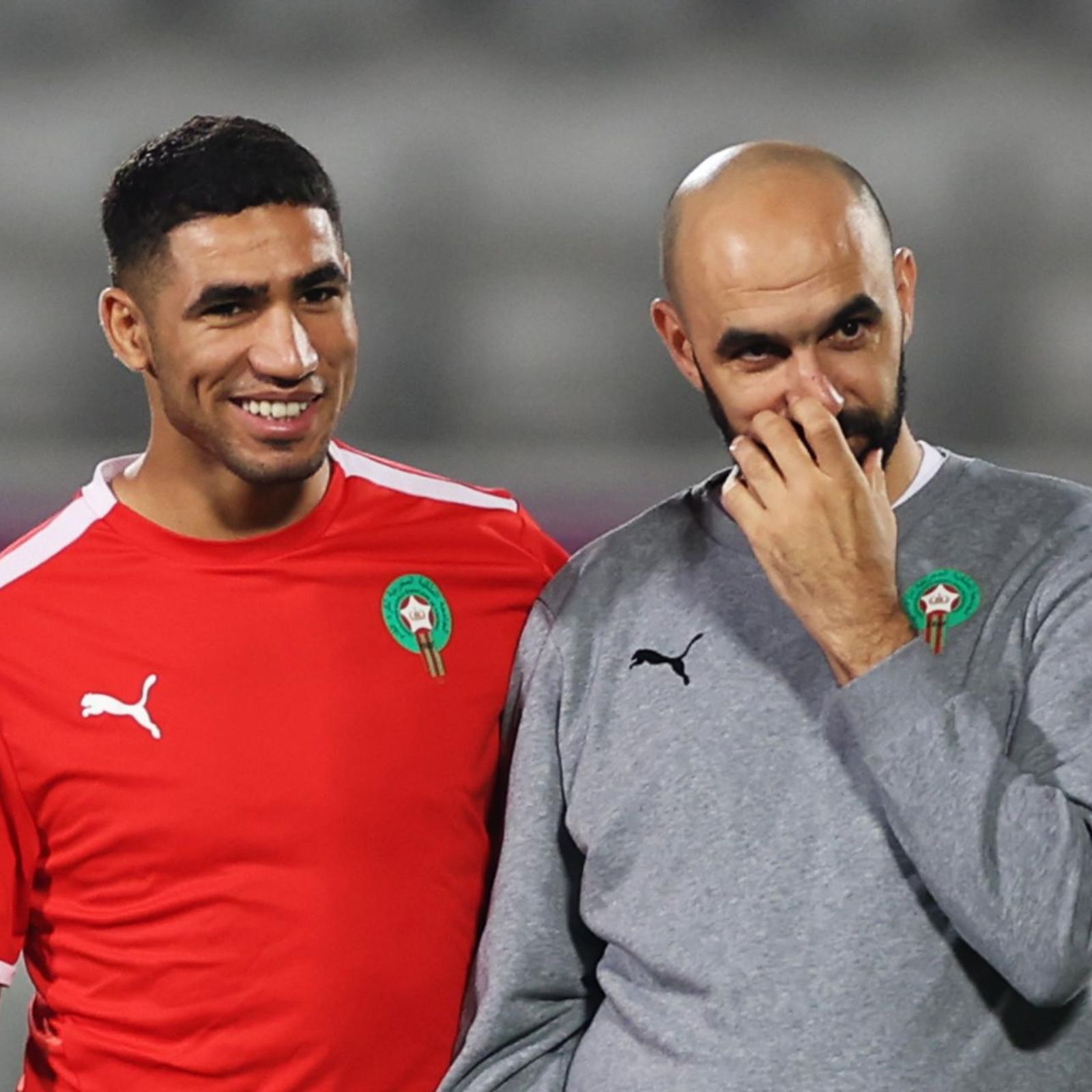 Qatar al día