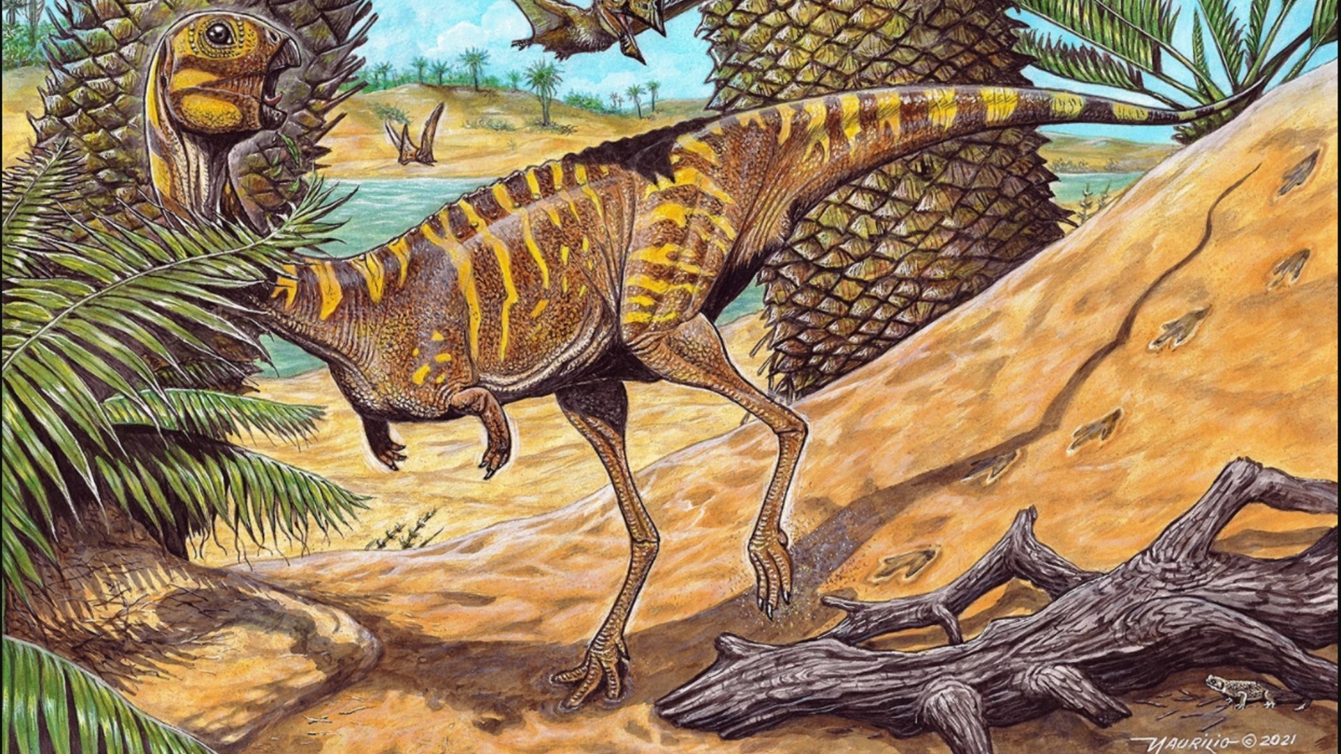 Descubren una nueva especie de dinosaurio sin dientes y con pico