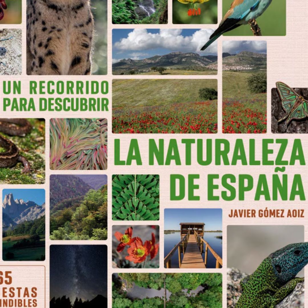 Reserva natural - Moda rápida y naturaleza de España: novedades literarias - 03/04/25