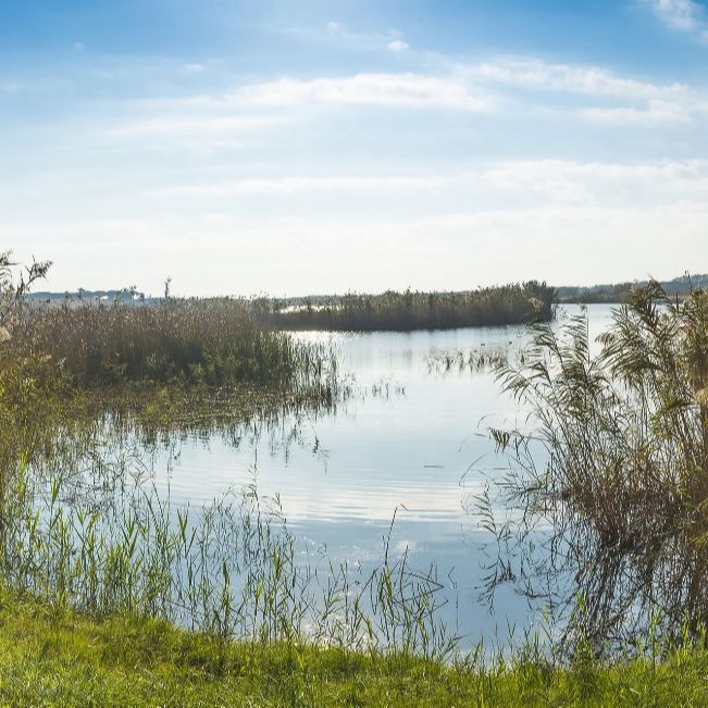 Reserva natural - Un nuevo Gobierno y un nuevo parque nacional - 05/09/24