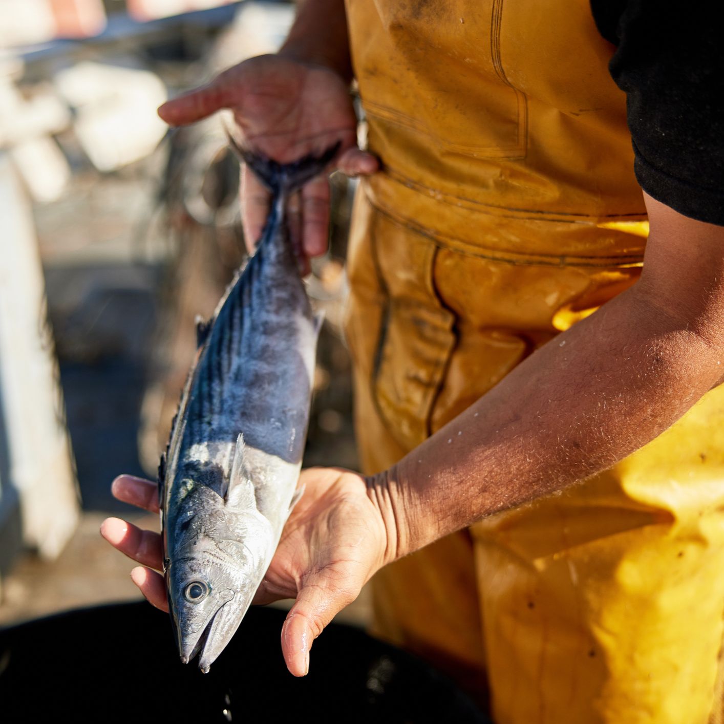 Mundo rural - Retos del consumo de pescado - 26/09/25