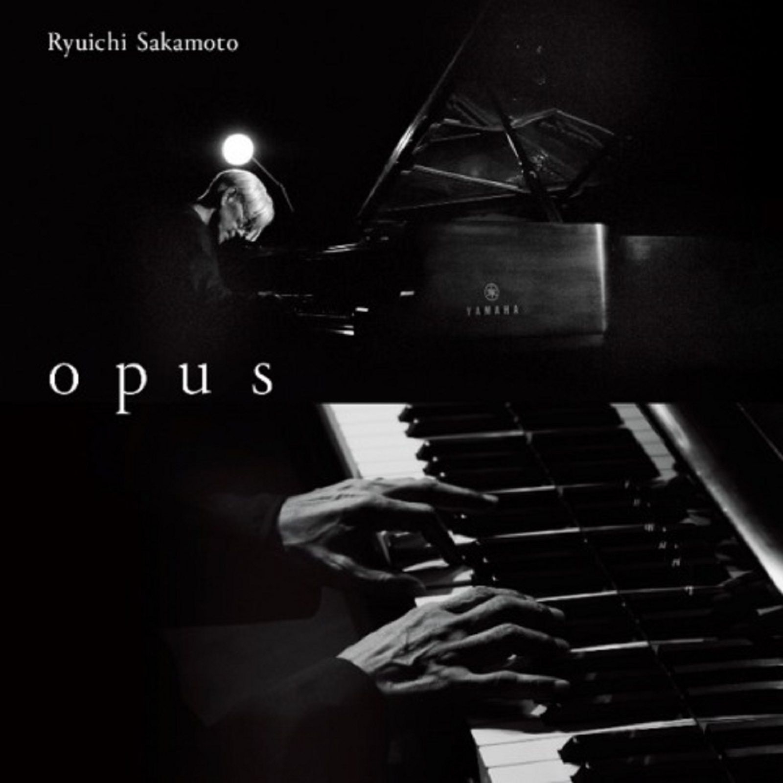 Cuando los elefantes sueñan con la música - Ryuichi Sakamoto: Opus - 05/12/24