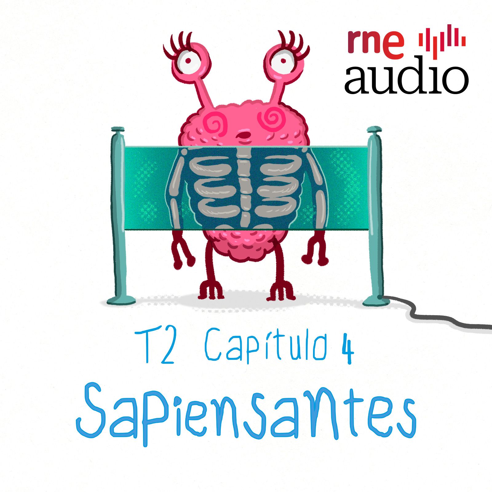 Sapiensates - T2. E4. ¿Cómo funcionan los rayos X?
