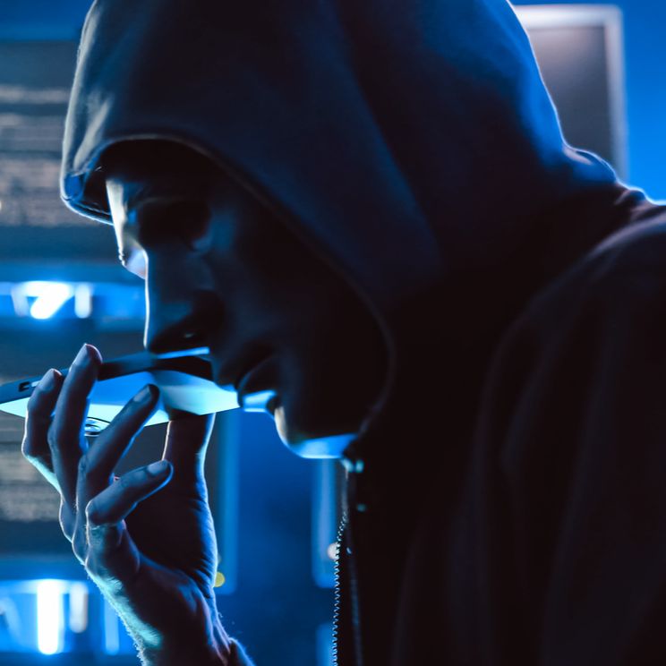 Seguridad del internauta - Voice hacking - 10/04/25