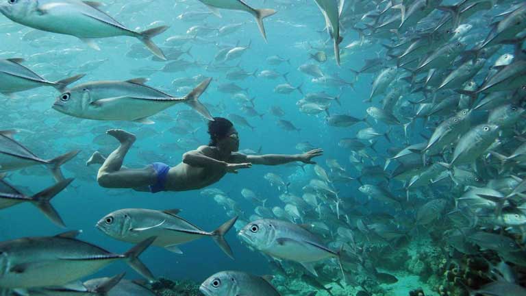 La serie documental 'Planeta Humano' llega a la 2