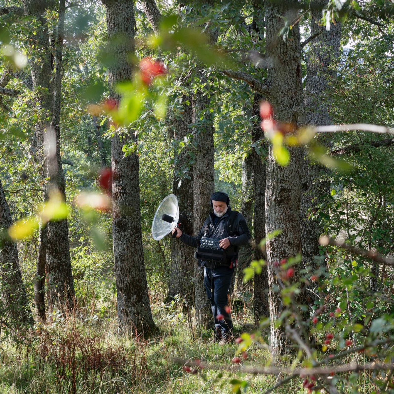El bosque habitado