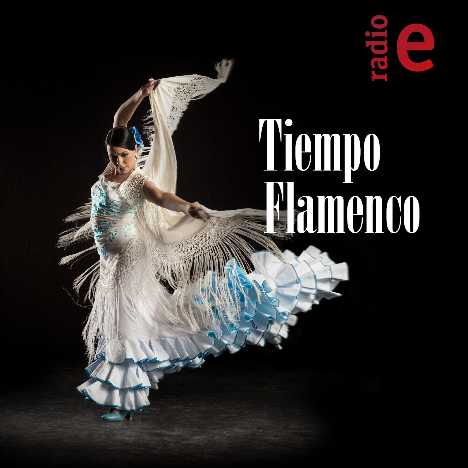 Tiempo Flamenco 